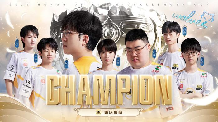 案例分析